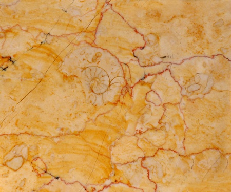 Limestone backgroundの写真素材