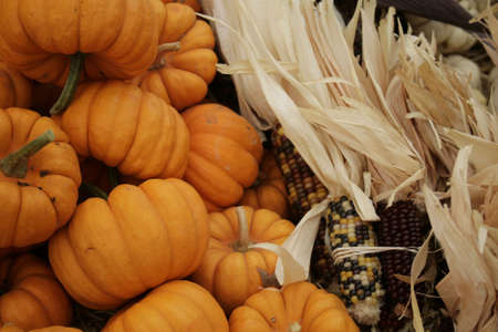 harvest festival displayの写真素材