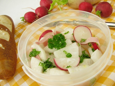 Picnic with radish salad and lye rollの写真素材