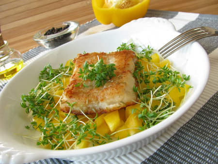 Fish with yellow pepper and cressの写真素材