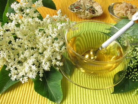 White elder blossoms tea White elder blossoms tea