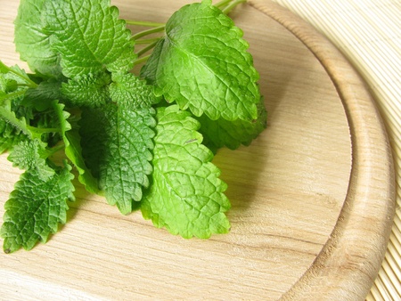 Bunch of lemon balm の写真素材