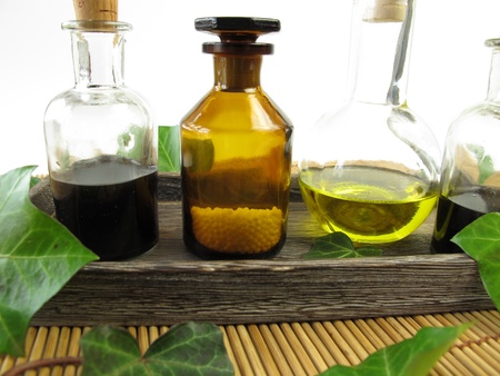 Ivy in nature healingの写真素材