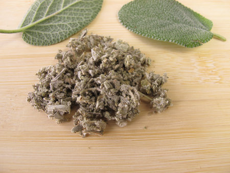 Garden sage, Salviae foliumの写真素材