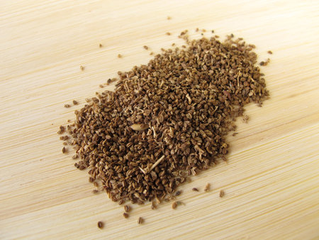 Celery fruits, Apii fructusの写真素材