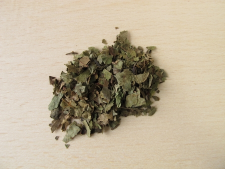 Walnut leaves, Juglandis foliumの写真素材