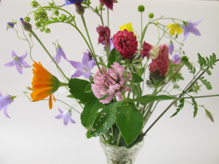 Bouquet of wild flowersの写真素材