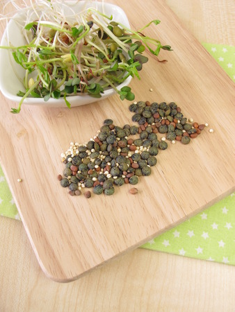 Seeds and shoots of lentils, quinoa and radishの写真素材