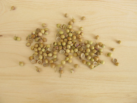Coriander seedsの写真素材