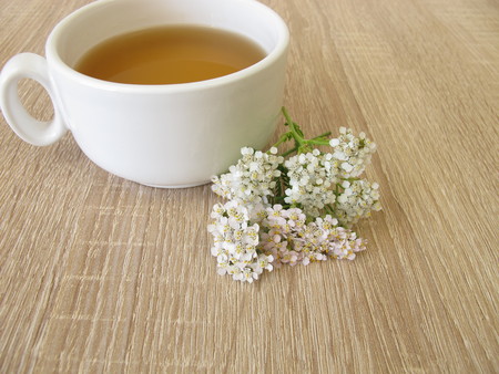 Herbal tea with yarrowの写真素材