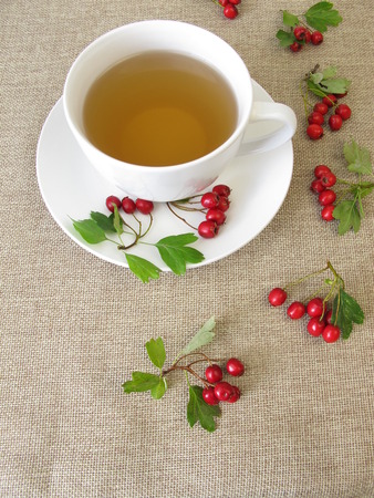 Herbal tea with hawthorn herbsの写真素材