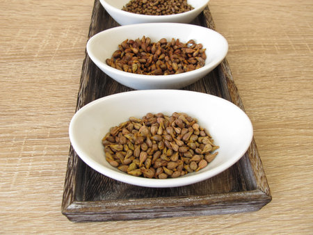 Dried grape seeds of red, blue and white grapes, Vitis viniferae semen