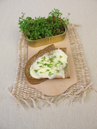 Butter bread with cress sprouts in fish canの写真素材