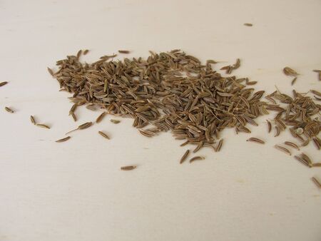 Caraway seeds, Carum carvi, on a wooden boardの写真素材