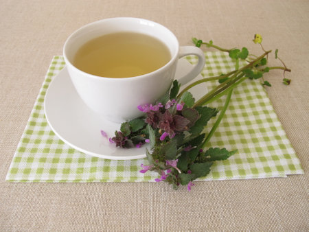 Herbal tea with purple dead nettle, Lamium purpureumの写真素材