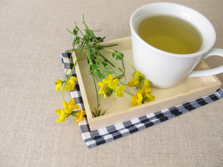 A cup of herbal tea with yellow flowers from birds-foot trefoilの写真素材