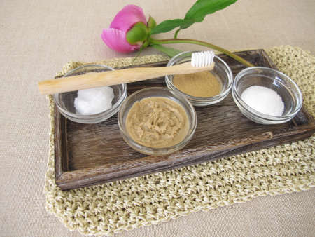 Homemade toothpaste recipe with coconut oil, xylitol and medicinal clayの写真素材