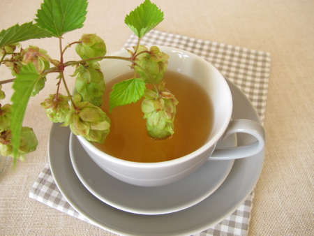 Hops tea, herbal tea with hop flowersの写真素材
