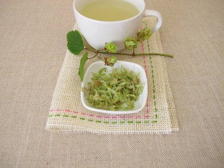Tea with dried hop flowersの写真素材