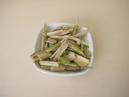Young black elder wood with marrow from Sambucus nigra cut into small piecesの写真素材
