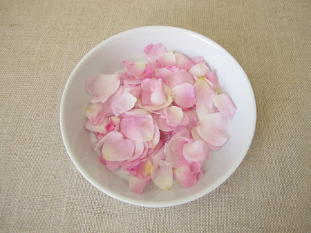 Fresh wild rose petals from the dog rose on a plate, Rosa caninaの写真素材