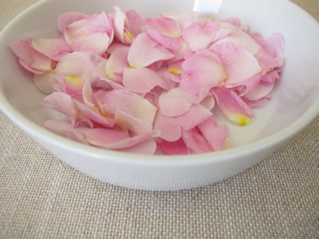Fresh wild rose petals from the dog rose on a plate, Rosa caninaの写真素材