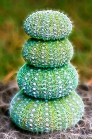 Stacked set of green sea urchinsの写真素材