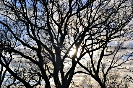 sunlightの写真素材