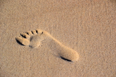  footの写真素材