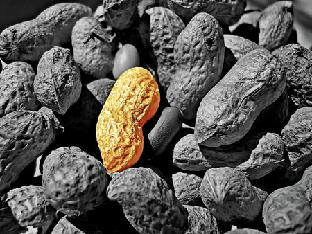 Peanuts