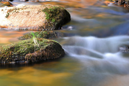 Mountain stream in national park Harz