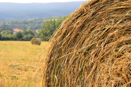 Straw on a field