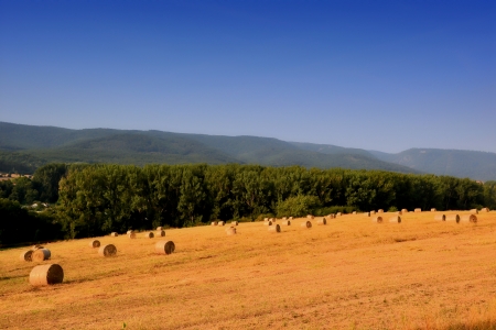 Landscape in the Harzの写真素材