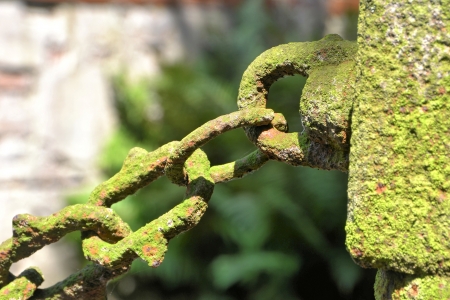 very old chain to a fence in a cemeteryの写真素材