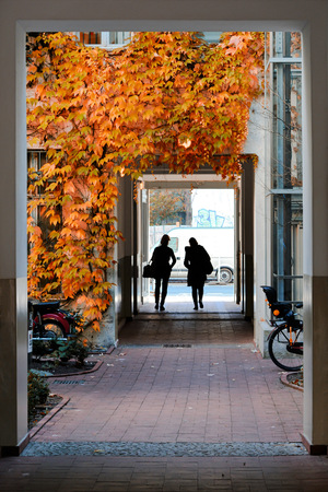 silhouette of two people in a backyard in Berlinのeditorial素材
