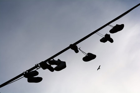 disposed of shoes hanging on a leashの写真素材