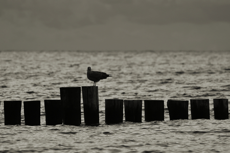 Evening at the Baltic Sea beach at Heiligendammの写真素材