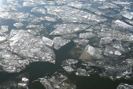 Ice floes on the River Elbe at Magdeburg