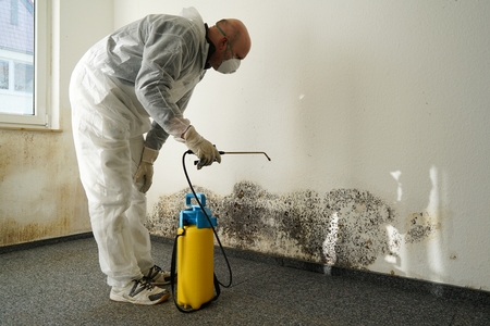 specialist in Combating mold in an apartmentの写真素材