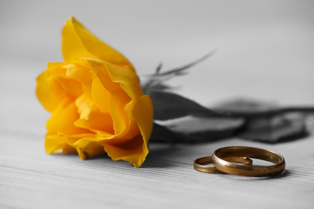 yellow rose and wedding rings lie on a tableの写真素材