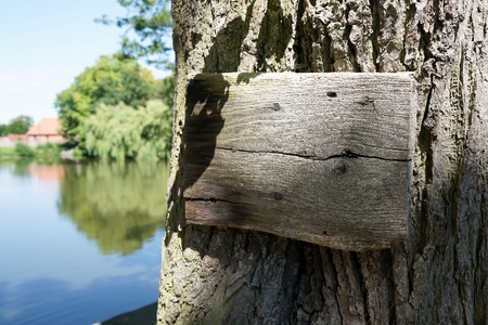 Wooden signboard on an old treeの写真素材