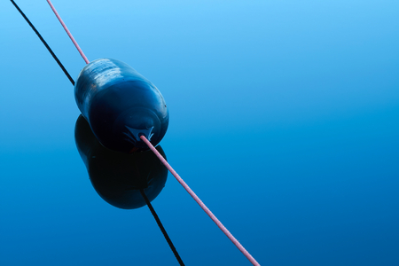 Buoy in a lake in the Mueritz National Park in Germanyの写真素材