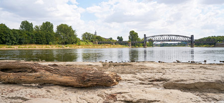 Tree trunk on the Cathedral rock in Magdeburg. The rock is usually located under water and is visible only under heavy drought. In the background the lift bridgeの写真素材