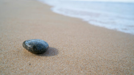 Stone on the beach of the Polish Baltic Sea coast