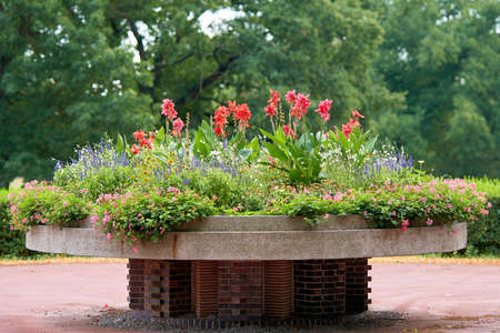 Flower border with blooming flowers as decoration in Magdeburg city parkの写真素材