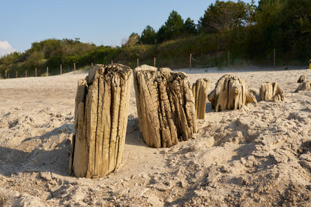 Breakwater on the beach of Kolobrzeg on the coast of the Baltic Sea in Polandの写真素材