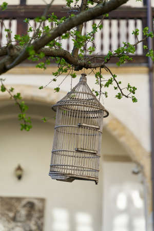 old wooden bird cage as decoration in a tree in the gardenの写真素材