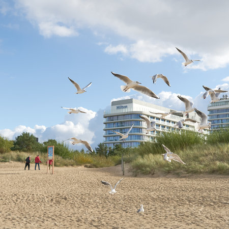 Swinoujscie, Poland â October 02, 2022: Seagulls and holidaymakers on the beach of the Polish Baltic coast in the resort of Swinoujscie at the end of the seasonのeditorial素材