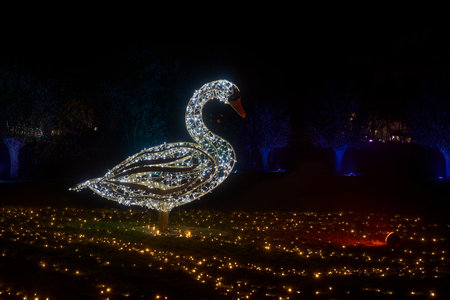 an illuminated Swan made of fairy lights at the Lumagica light installation in the Elbauenpark in Magdeburg to set the mood for the Christmas seasonの写真素材