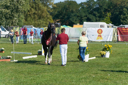 Magdeburg, Germany - September 16, 2023: Evaluation of a horse at the State Premium Show of the Brandenburg Horse Breeding Association at the Landeserntedankfest, Harvest Festivalのeditorial素材